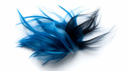 Fototapeta premium Vibrant Blue and Black Hair Streaks, A Colorful Abstract Image of Unruly, Vivid Locks Displayed Against a Clean White Background.