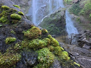 Khlonglan waterfall with moss in rainforest