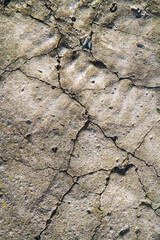 An old cracked concrete surface. Vertical stone texture.