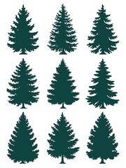 Evergreen Tree Silhouettes - Different shapes of pine trees for outdoor and nature themes. white background