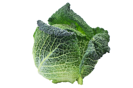 Green cabbage isolated on white