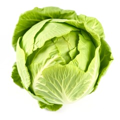cabbage isolated on white