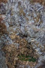 old stone texture close up