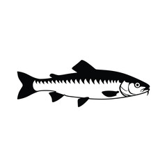 Black and white vector Chub fish