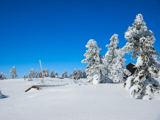 Buried shed at the summit of a ski resort (Shibutoge, Gunma / Nagano, Japan)