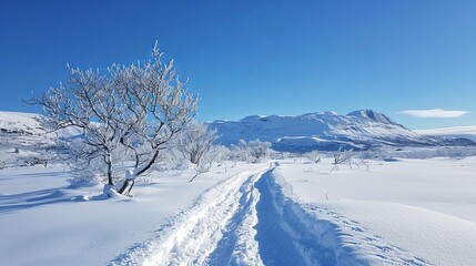 Obraz premium Snowy Pathway Through a Winter Wonderland, Mountainous Landscape