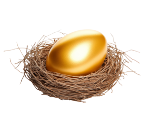 High-Quality PNG Golden egg in nest Isolated on White Background – High Resolution