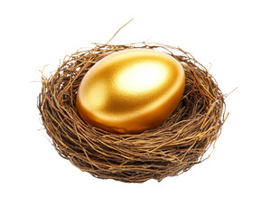 High-Quality PNG Golden egg in nest Isolated on White Background &ndash; High Resolution