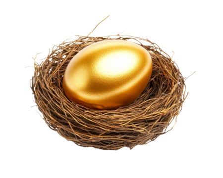 High-Quality PNG Golden egg in nest Isolated on White Background – High Resolution