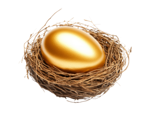 High-Quality PNG Golden egg in nest Isolated on White Background – High Resolution