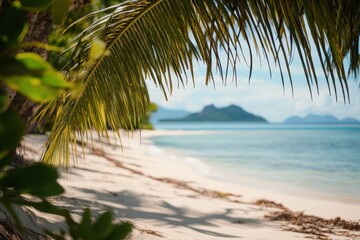 Idyllic tropical beach scene viewed through palm fronds. (13)