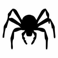 BLACK SILHOUETTE OF SPIDER INSECT