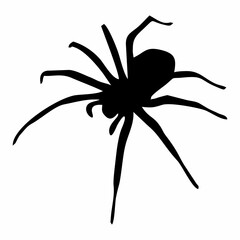 BLACK SILHOUETTE OF SPIDER INSECT