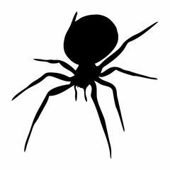 BLACK SILHOUETTE OF SPIDER INSECT