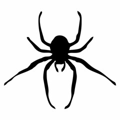 BLACK SILHOUETTE OF SPIDER INSECT