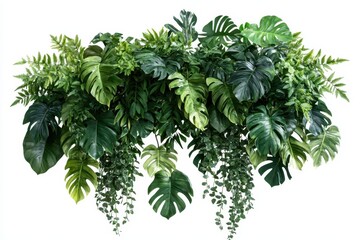 Lush green tropical foliage arrangement isolated on white. (1)