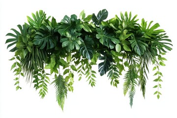 Lush tropical foliage arrangement, isolated on white.
