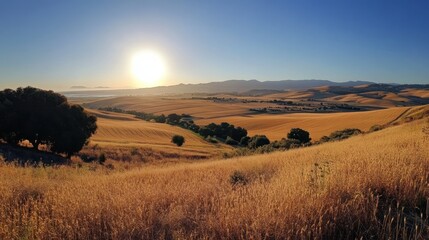 Fototapeta premium A serene landscape at sunset with rolling hills and golden fields.
