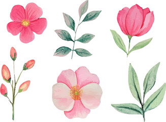 set of pink flowers