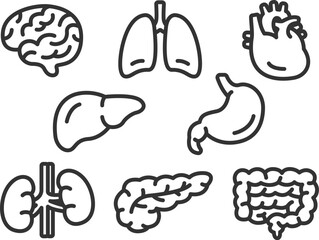 いろいろな、臓器のアイコン（線画）のイラストセット