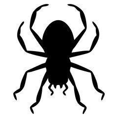 BLACK SILHOUETTE OF SPIDER INSECT