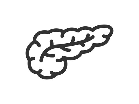 膵臓のアイコン（線画）のイラスト