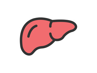 肝臓のアイコン（線画カラー）のイラスト