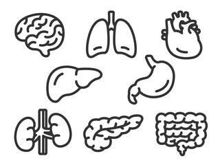 いろいろな、臓器のアイコン（線画）のイラストセット