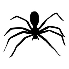 BLACK SILHOUETTE OF SPIDER INSECT