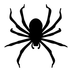 BLACK SILHOUETTE OF SPIDER INSECT