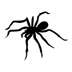 BLACK SILHOUETTE OF SPIDER INSECT