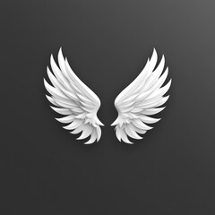 Obraz premium A pair of stylized white wings on a dark background, symbolizing freedom or aspiration.