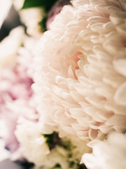 Close up of a flower