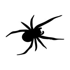 BLACK SILHOUETTE OF SPIDER INSECT