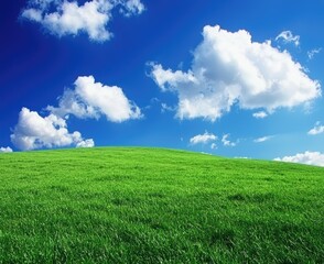 Obraz premium Lush green field under a bright blue sky with fluffy white clouds