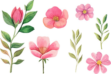 watercolor set of roses flowers