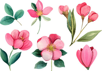 watercolor bouquet of pink roses