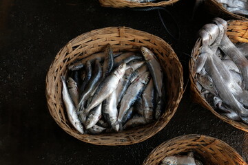 A fresh fish on display at the market