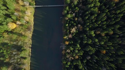 An Aerial View of a Serene Forest and River Landscape Captured from Above is Truly Beautiful. Stock Clip