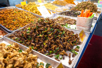 Roasted Short tailed cricket with pandan leaves and herbs in a tray on a stall with various of insect. Deep fried insects a very popular snack in street food market of Thailand.