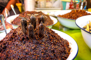 Giant Water Bug Chilli Paste (Nam Prik Ta Dang Maeng-da) sold in the market. Local Thai food is...