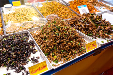 Deep fried insects a very popular snack in street food market of Thailand. Translate the Thai text of the sign: Egg Cricket and Egg House Cricket.
