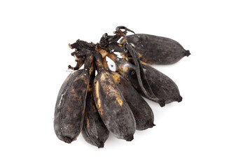 Overripe rest of the ducasse banana in the comb and starting to rot skin peel is black bruised and...