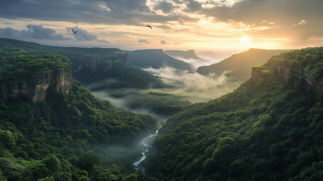 view from the top of the mountain