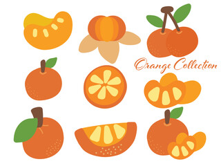 Vibrant Orange Fruit Collection Illustration