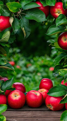 Obraz premium panoramic composition, with a large blank space in the middle for text design. the teng basket is placed on a wooden table with a tablecloth. the basket contains some apples,