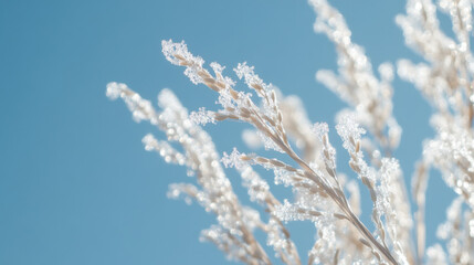 Obraz premium Delicate Dried Grass With Dew Drops Glimmering Under Bright Blue Sky Creating a Stunning Contrast of Nature's Beauty in Soft Minimalist Composition