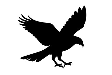 Hawk silhouette