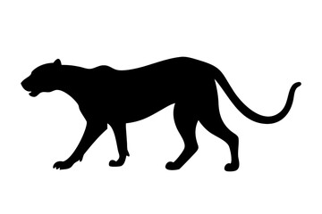 Fototapeta premium Cheetah silhouette