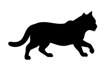 Cat silhouette